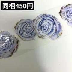 Item thumbnail for item 221b7bd1-4f8b-4360-845b-0b4b86fbae57