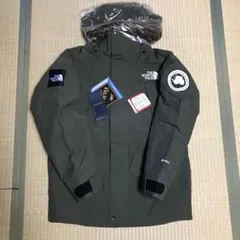 ザ ノースフェイス アンタークティカパーカ