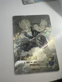 ドラゴンボールスーパーダイバーズ 孫悟飯:青年期 APT-009 パラ