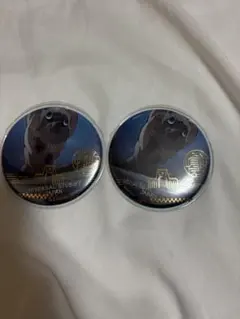 【新品未使用】鬼滅の刃 嘴平伊之助 缶バッジ 2個セット USJ