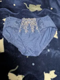 ブルー刺繍ショーツ LLサイズ