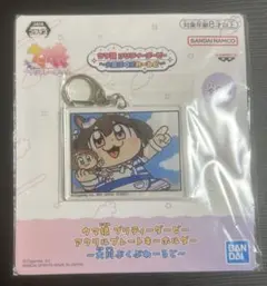 ウマ娘 アクリルプレートキーホルダー-大川ぶくぶ ヒシアケボノ