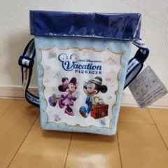 東京ディズニーリゾート バケーションパッケージバッグ