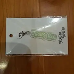 SEVENTEEN DECO PARTS JEONGHAN