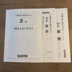2026年最新】sapix 入室テスト 新2年の人気アイテム - メルカリ