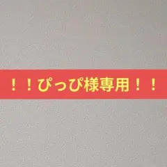 ！！ぴっぴ様専用出品！！