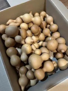 【50個】ひょうたん　瓢箪　千成瓢箪　まとめ売り　無病息災　置物　縁起物(B) 50個】ひょうたん 瓢箪 千成瓢箪 まとめ売り 無病息災 置物 縁起物(E