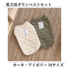 Item thumbnail for item 99704d85-dd6f-486d-b156-f1db8916a388