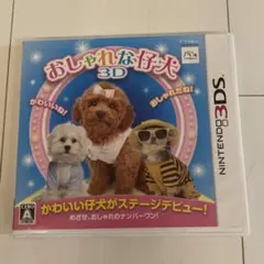 おしゃれな仔犬3D