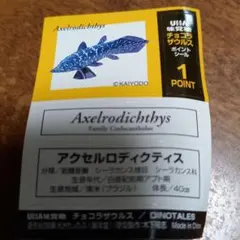 チョコラザウルス　　アクセルロディクティス
