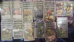 デュエマ 緑単キャベッジ 緑単キャベツ デッキ cs優勝 - メルカリ