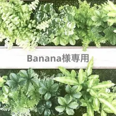 Banana様専用ページ トリミングチョーカー