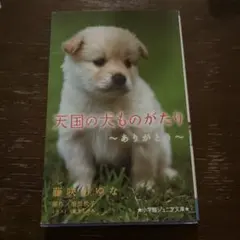 Item thumbnail for item 2181dcb3-534f-4670-8dff-dad2d6862f54