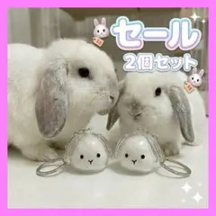 【垂れうさぎ 2個セット】うさぎ 毛玉入れキーホルダー メモリアル3F