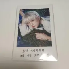 &TEAM HARUA インスタントフォト