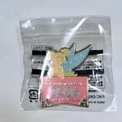 ディズニー ゲーム景品 ピンバッジ 2026スペシャルバージョン