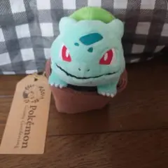 ポケモン Grassy Gardening ツタージャ ぬいぐるみ - メルカリ