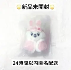 StrayKids SKZOO 10cm ぬいぐるみ ジニレット 未開封 - メルカリ