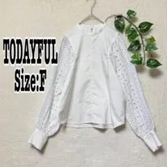 TODAYFUL シアー カットワークレース ブラウス チュニック グレージュ 