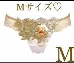 完売品✨WACOAL サルート82g❤︎サルートソング✨anan堀田茜着用