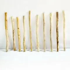 Item thumbnail for item 10cdf6c3-e235-467b-8508-16b53368cbb4