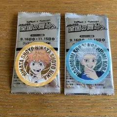 【新品】ハイキュー 日向翔陽 星海光来 ステッカー マツキヨ　ココカラ　2枚