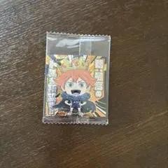 ハイキュー!! 排球レア 極 日向翔陽HQ2-25