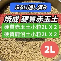硬質赤玉土 2L ふるい通し　多肉植物 サボテン 塊根植物　観葉植物のサムネイル