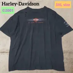 激レア3XL USA製 00s❕ハーレーダビッドソン Tシャツ ダメージフェード