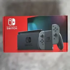 Nintendo Switch グレー 本体 付属品、ケース付き