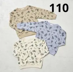 ビールーム (b-ROOM)【表コットン毛玉バイバイ】恐竜総柄 スエット 110