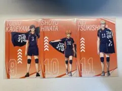 ハイキュー!!プラザ 挑戦者たち 特典ポストカード 烏野セット
