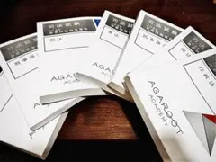 【裁断済・書込み無】 2025 重要問題習得講座 ７科目セット アガルート 2027・2028年合格目標】司法試験｜重要問題習得講座 | アガ