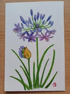 タムタム様 リクエスト 2点 まとめ商品