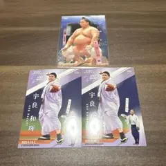 Item thumbnail for item aea22d7e-59e6-4fed-92ff-098aa9f00e5a