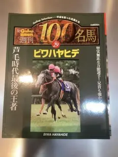 Gallop臨時増刊 週刊100名馬 Vol29 ビワハヤヒデ - メルカリ