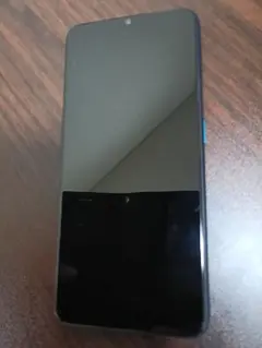 OPPO A5 2020 ブルー　ケース付き