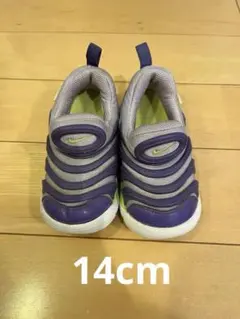 Item thumbnail for item b9f8a5b2-4de0-4358-b722-971c4a98724b