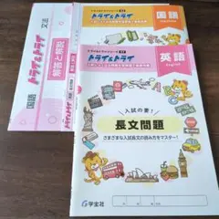 国語・英語　トライ&トライ