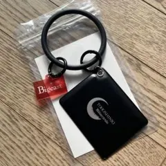 TOHOSHINKI キーホルダー Bigeastrain ビギイベお土産