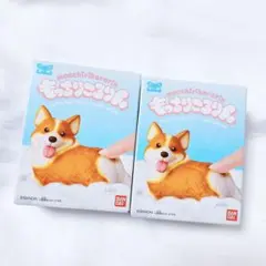 もっちりころりん ぷりぷりコーギー レッドホワイト 犬