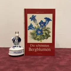 116⑤植物図鑑　洋書古書　ジャンクジャーナボタンニカルアート