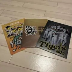 阪神タイガースクリアファイル3点