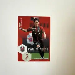 北海道コンサドーレ札幌 オフィシャルトレーディングカード パクミンギュ