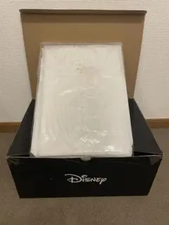 ディズニーレースカーテン ラプンツェル100×133cm 2枚セット