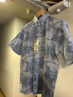 Item thumbnail for item 1b3662dc-1486-4373-8a37-92c6fdab3a07