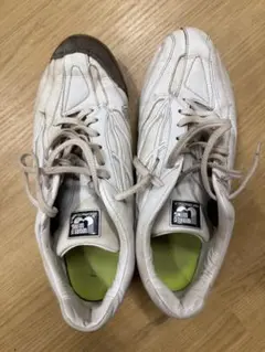 Item thumbnail for item 86cdbbb4-be18-4551-9f91-e1f979e36819