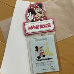 ディズニーランド　チケットホルダー　ミニー