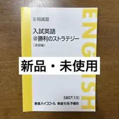 【新品・未使用】　入試英語　勝利のストラテジー　演習編　冬期講習　東進　テキスト
