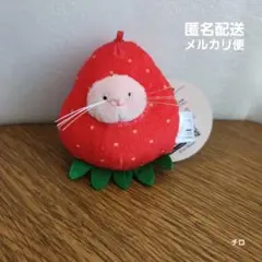 マウス　ぬいぐるみ　ガレット・デ・ロワ　三角ユウリ　おまけ付き 2025年最新】三角ユウリの人気アイテム - メルカリ